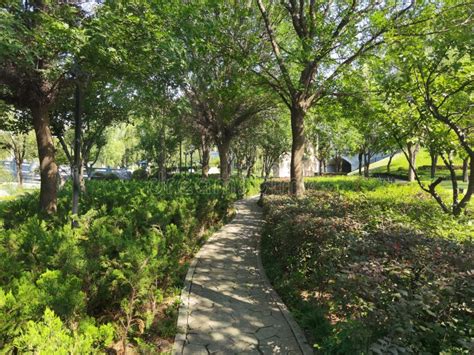 西安雁塔区育婴师哪里好