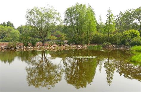 西安全国一级建造师报考条件