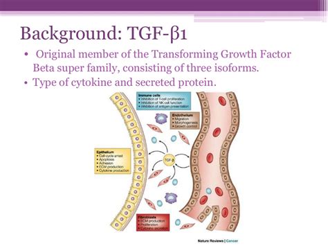西安ppt培训中心_ppt培训哪家专业