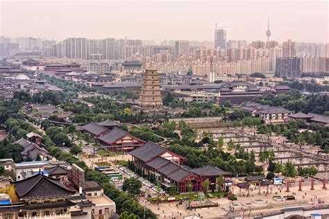 西安雁塔区茶艺师培训班 西安雁塔区茶艺师辅导
