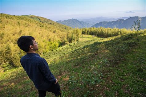 西安茶艺师创业培训班