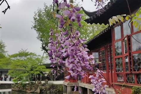西安口腔执业医师培训班排名 西安口腔助理医师培训班排名