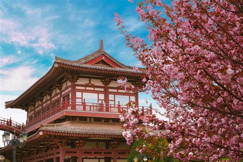 西安雁塔区西餐培训
