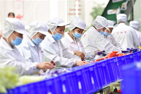 温州哪个柳州螺蛳粉培训好