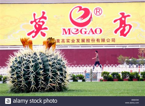 甘肃微培训医疗机构主办