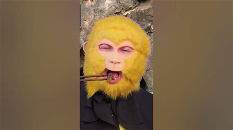 安康哪里有微培训