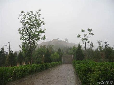 天水微培训需要多少钱