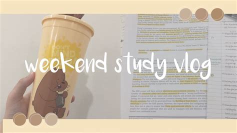 南宁会计硕士周末学习