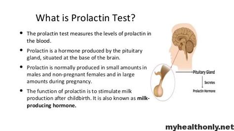 西安催乳师培训哪里学