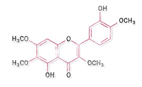 催乳师培训哪里**正规西安