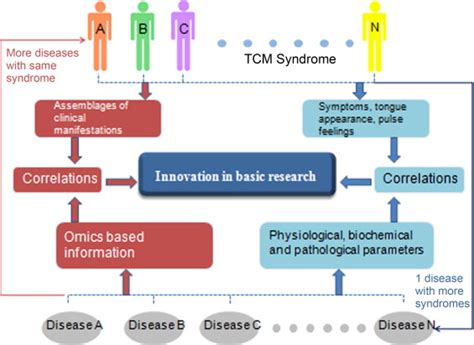 上海中医辨证诊断培训课程