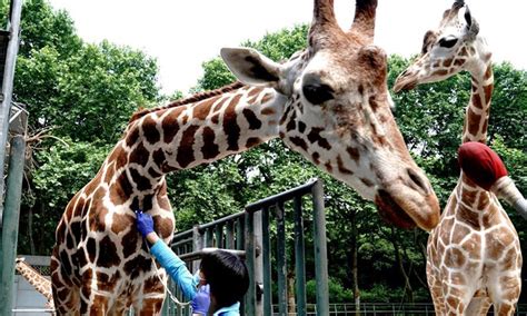 上海注会考试课程