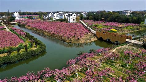 奉贤区注册会计师面授【上海】