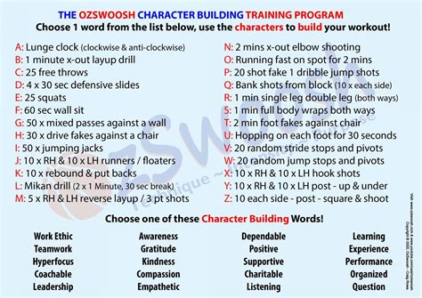 上海篮球训练哪里好 篮球训练方案