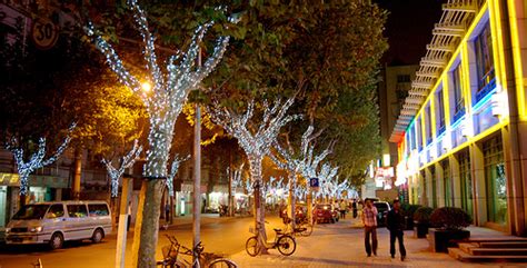 上海闸北区篮球夏令营的真多,有去过的吗?哪个比较好?