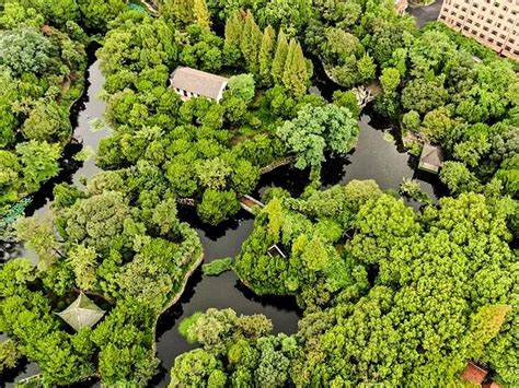 上海杨浦区多大的孩子可以上篮球培训班啊