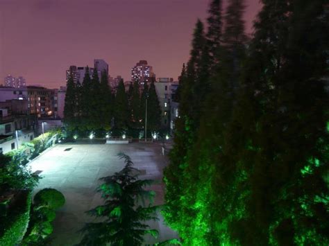 上海徐汇区多大的孩子可以上篮球培训班啊