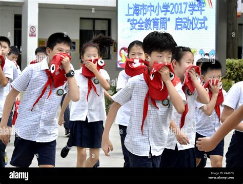 上海初级催乳师训练