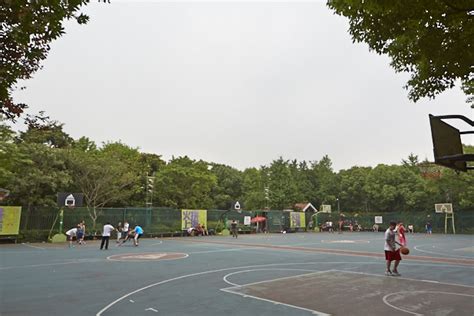 上海篮球培训课程学费对比