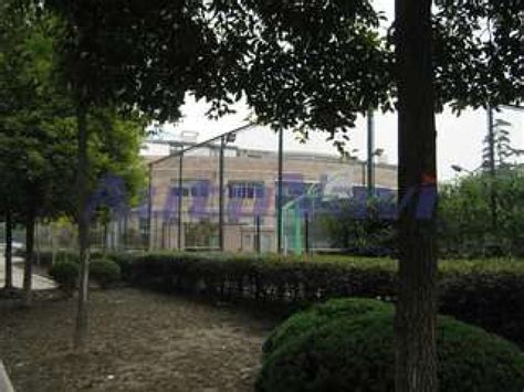上海篮球培训机构哪个比较好