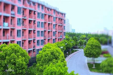 上海摄影师职业培训