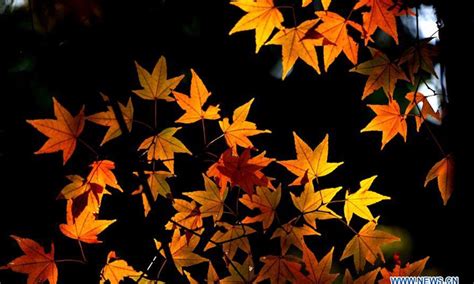 闵行区半培训班【上海】