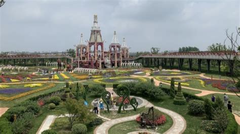 闵行的摄影教程【上海】