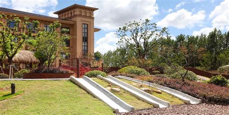 上海高级蒙氏早教课程