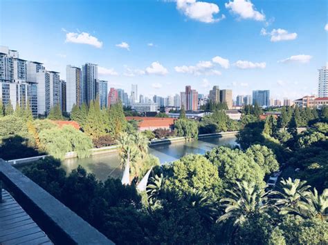 上海普陀区acca班