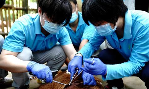 上海注会考试课程