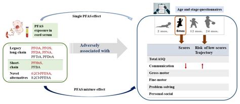上海母婴护理上岗证培训课程