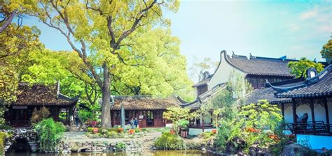 上海松江区有哪些古筝培训机构