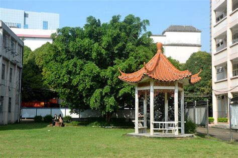 南宁小语种学习