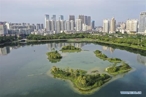 广西南宁英语培训机构排行