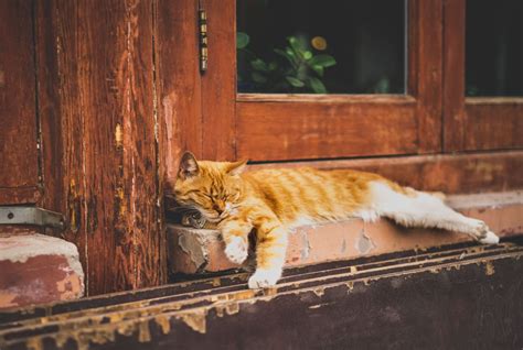 北京哪有说服力口才