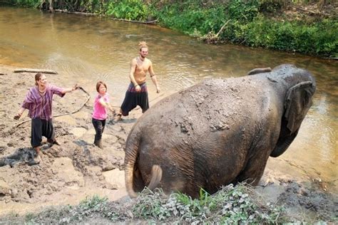 金象计划-集训封闭班【北京】