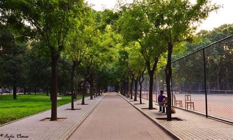 北京各国际简介