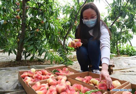 平谷区企业培训师考试培训