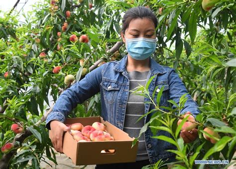 平谷区培训师培训