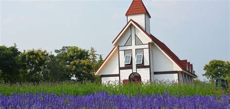 顺义区企业培训师师培训
