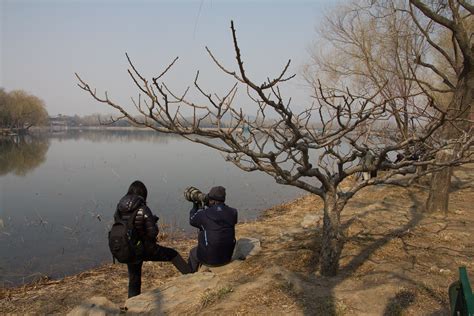 北京海淀区哪里有大数据开发高薪就业班