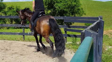 北京成人硬笔字班