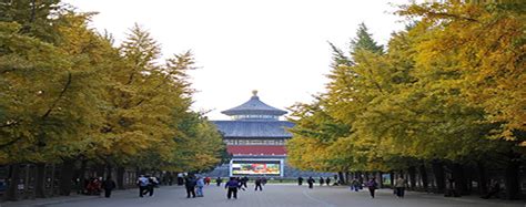 北京学习电脑普及