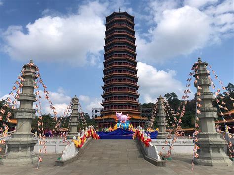 北京承脉九步视力调理法学习班招生简章
