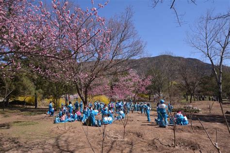 北京军事夏令营