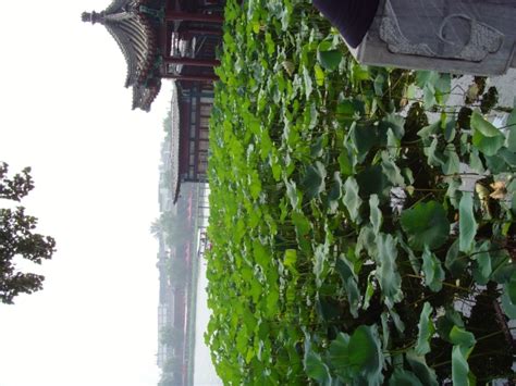 北京gmat什么时候