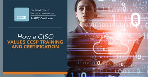 【昌平区ccsp认证 培训】