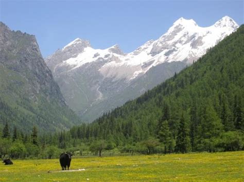 【昌平区ccna报名多少钱】