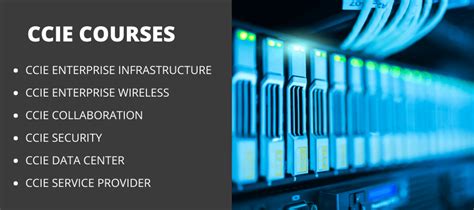 【昌平区ccie**好的培训机构】