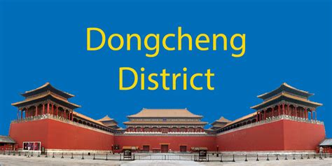 【东城区思科网络课程】